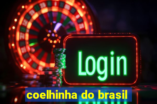 coelhinha do brasil